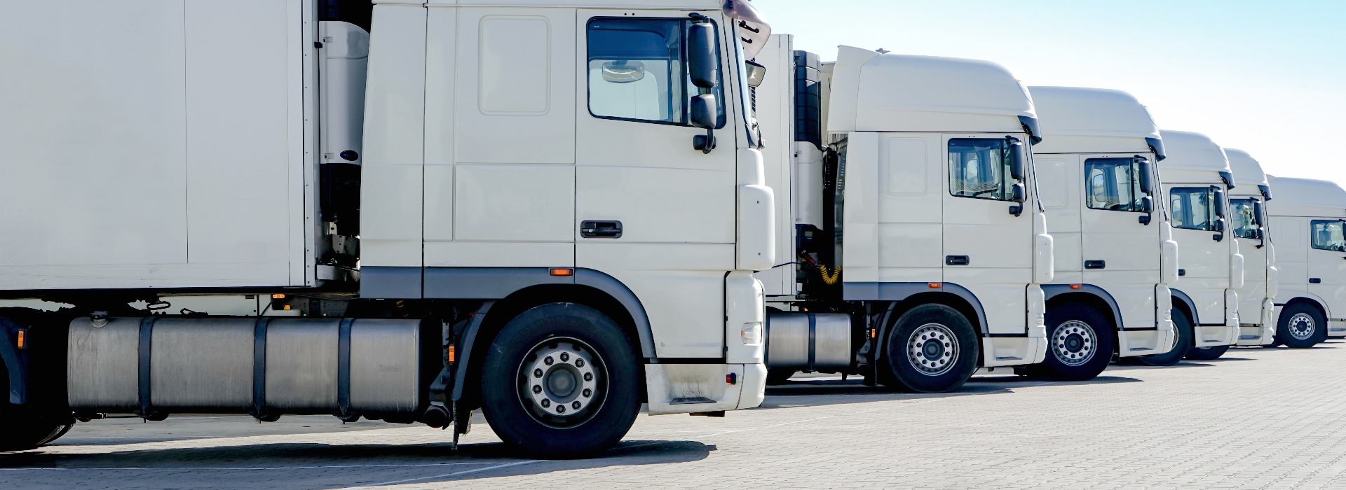 LKW-Spedition, mehrere weiße Laster stehen nebeneinander